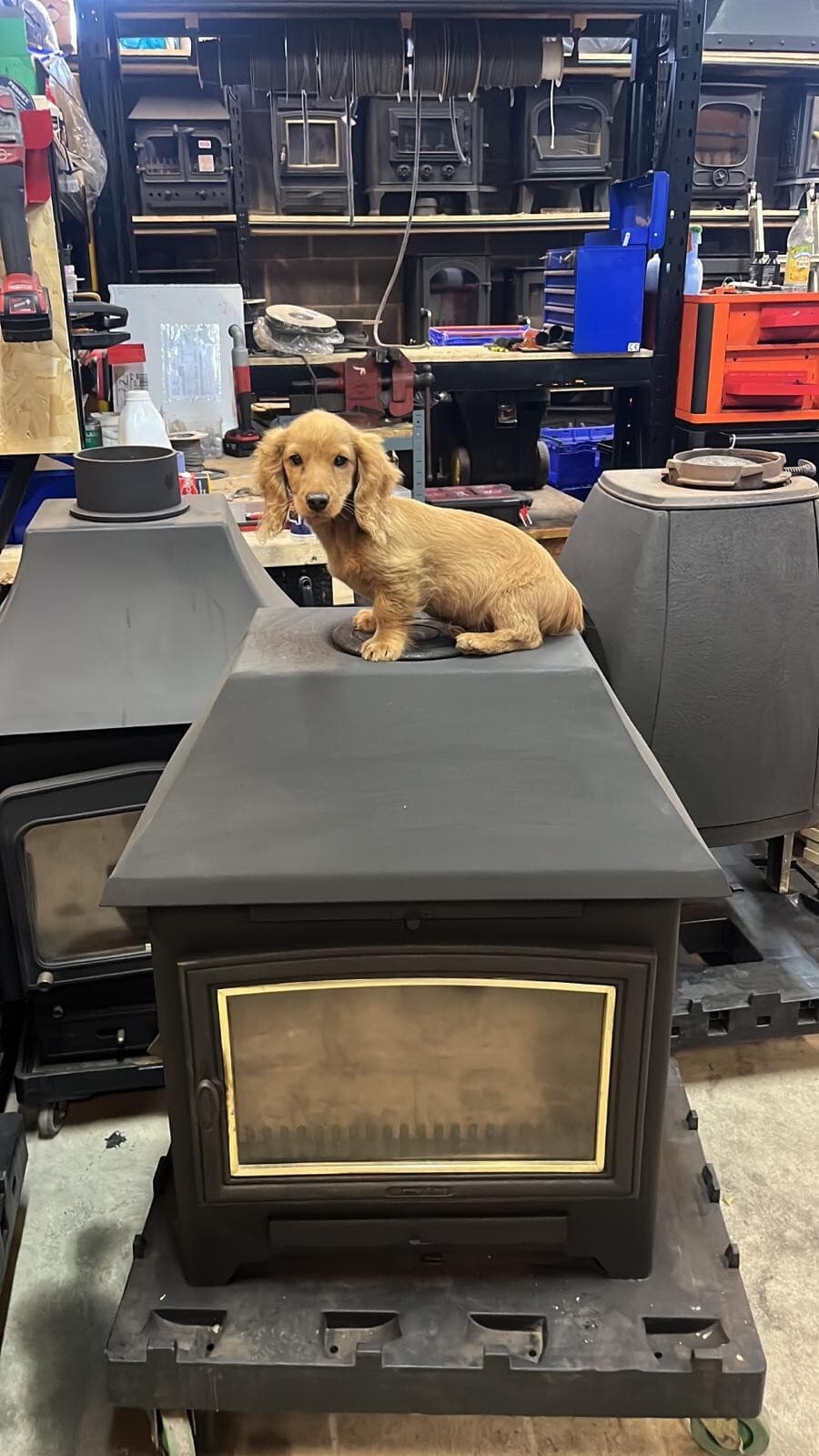 Aarrow Becton 14Kw LARGE OUTPUT, multifuel Stove log burner delivery available! — view 5