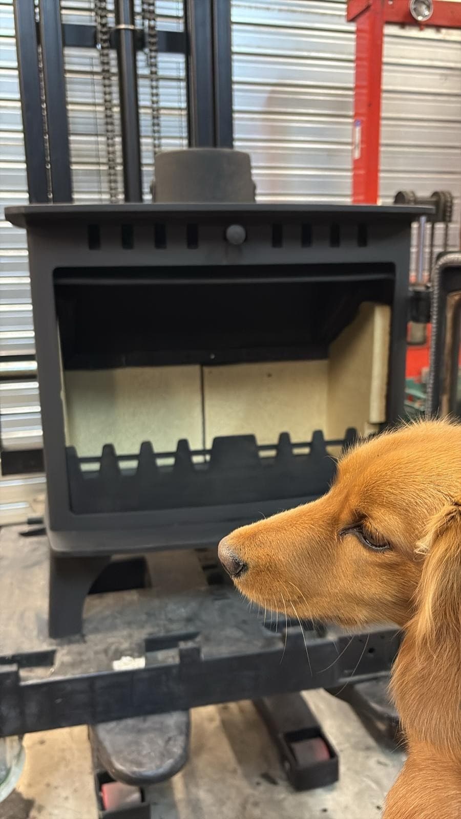 Hunter Herald 8 Wood Burning Stove 8kw, Woodburner (log,wood+burner), DEFRA, 🚚 — view 4