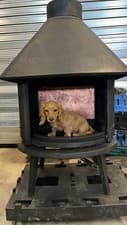 Jotul 6 Vintage Cast Iron Wood Burning BOILER Stove 7” Exit. LARGE OUTPUT BOILER