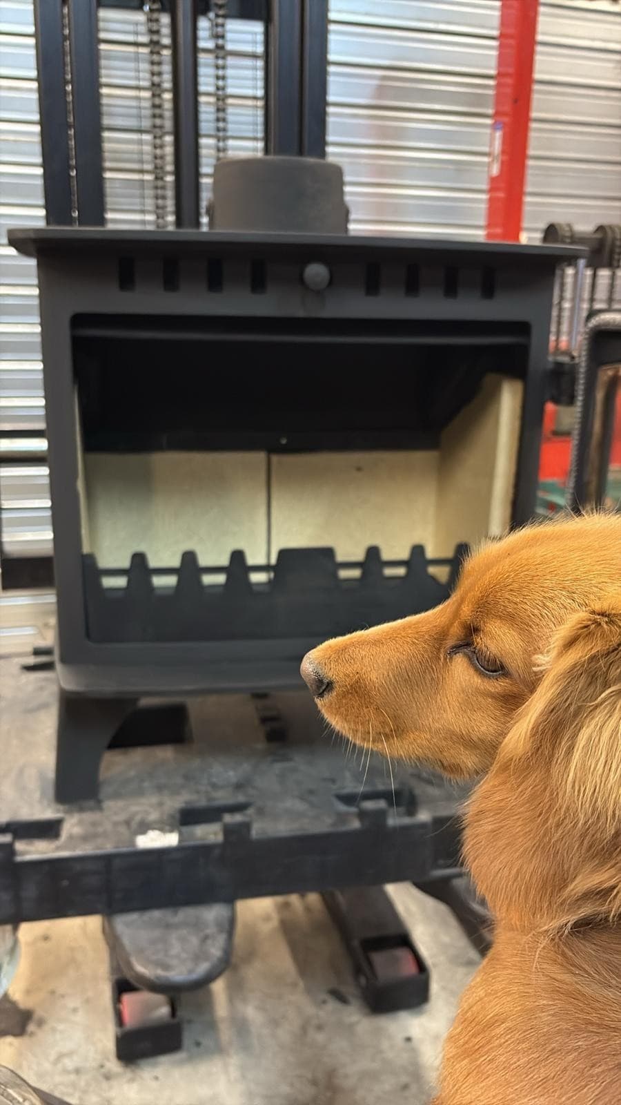Hunter Herald 8 Wood Burning Stove 8kw, Woodburner (log,wood+burner), DEFRA, 🚚 — view 3